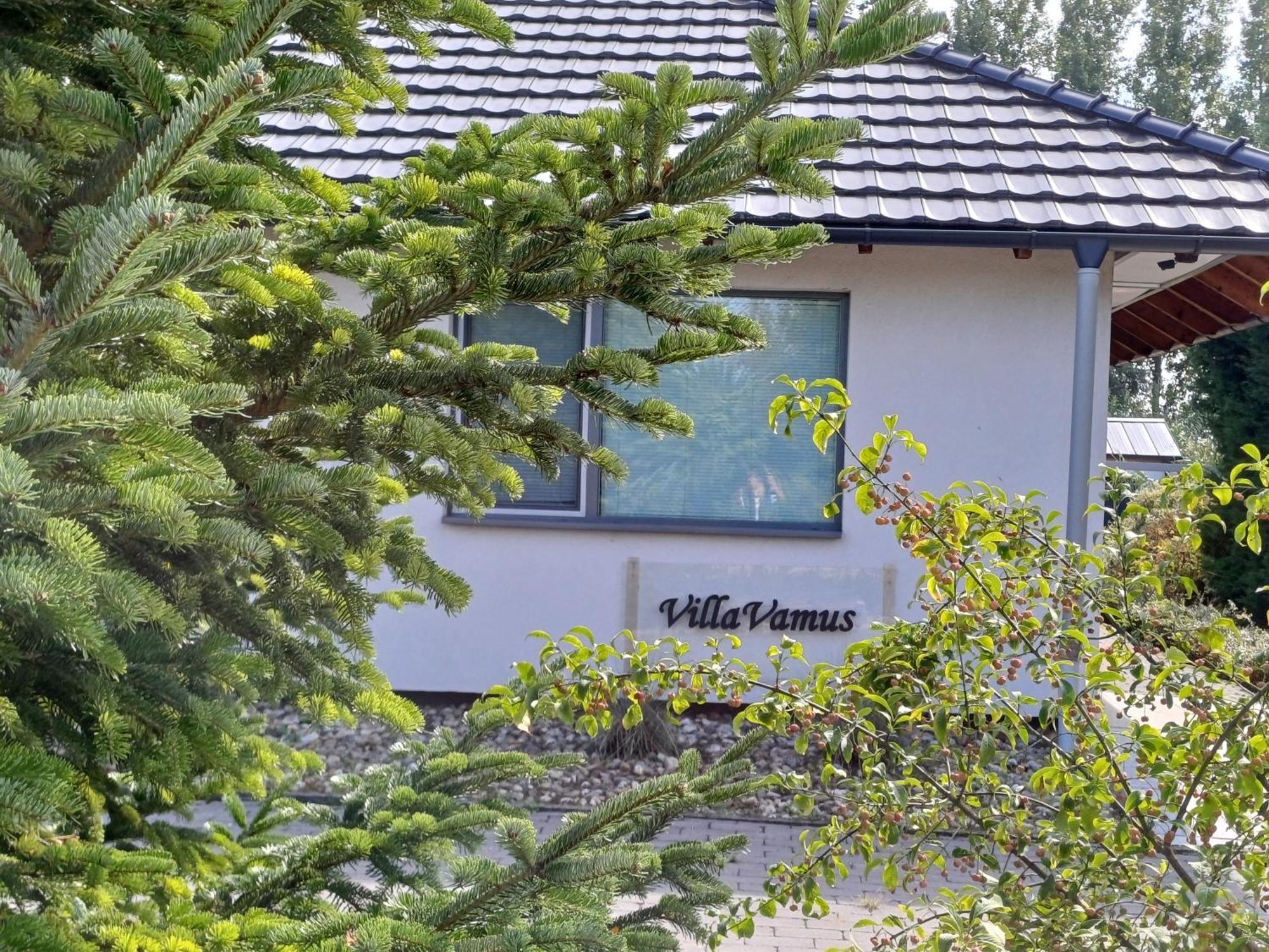Villa Vamus Vendeg- Es Rendezvenyhaz Vámosszabadi Exterior foto